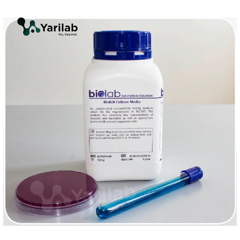 Gelose MacConkey (500g) Biolab®